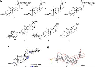 Identification of an Alternative Glycyrrhizin Metabolite Causing Liquorice-Induced <mark class="highlighted">Pseudohyperaldosteronism</mark> and the Development of ELISA System to Detect the Predictive Biomarker